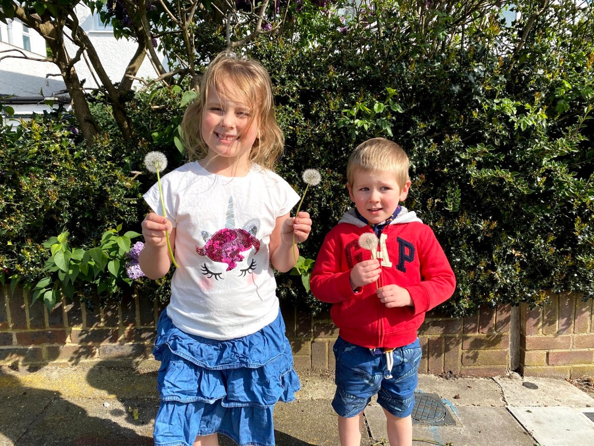 Schoolwork, over-strenuous Stephen and stunning&nbsp;starlings