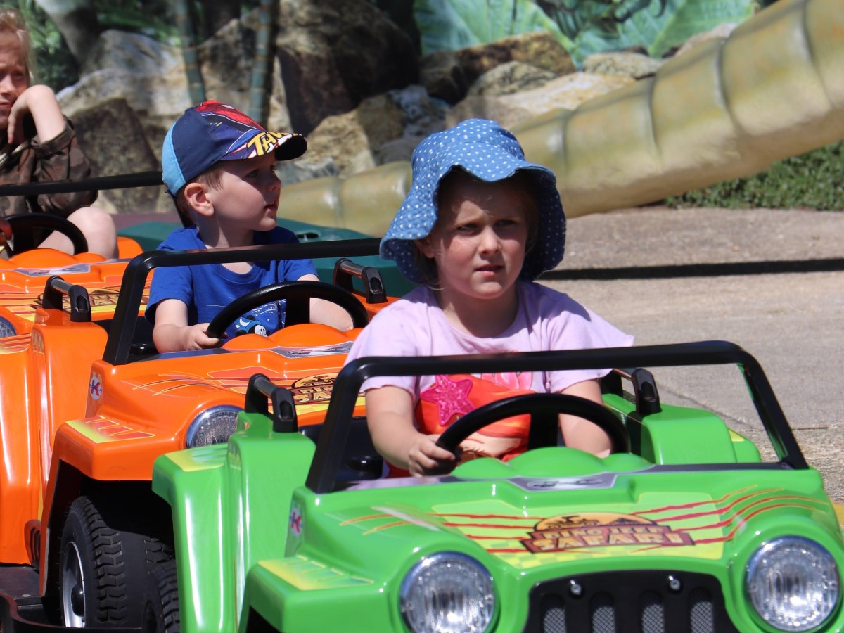 Outsmarting a tree with a&nbsp;broom